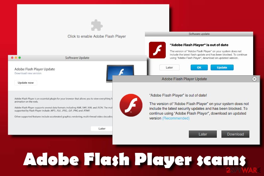 Adobe Flash Distribution Download Mac